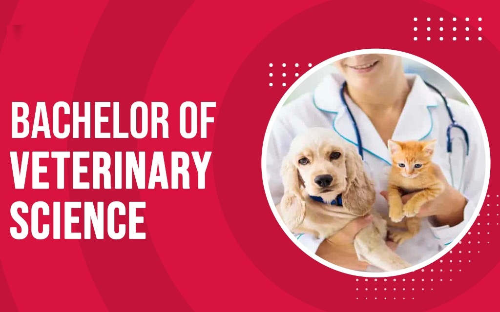 EduAdmissionWala-(Bachelor of Veterinary Science)